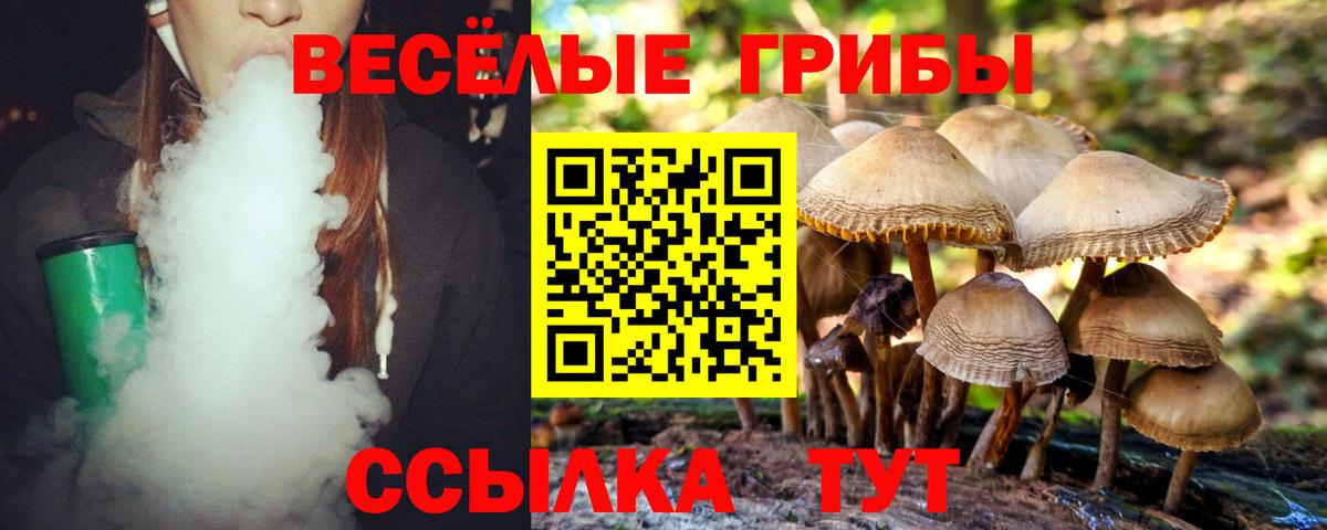 Кудрово  Галлюциногенные грибы Psilocybe  Вход с VPN 